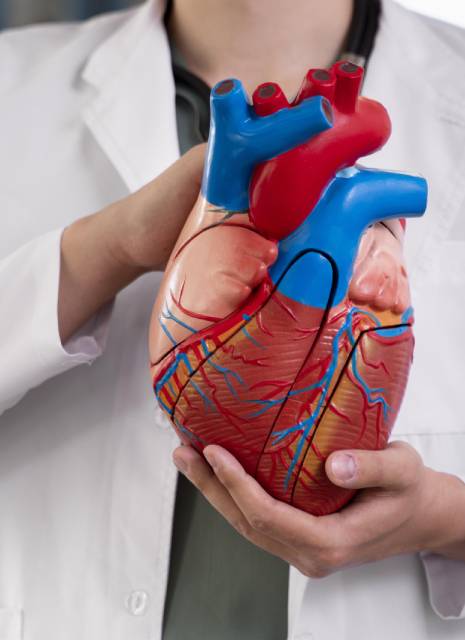 Cardiólogo intervencionista cerca de mi ubicación en CDMX