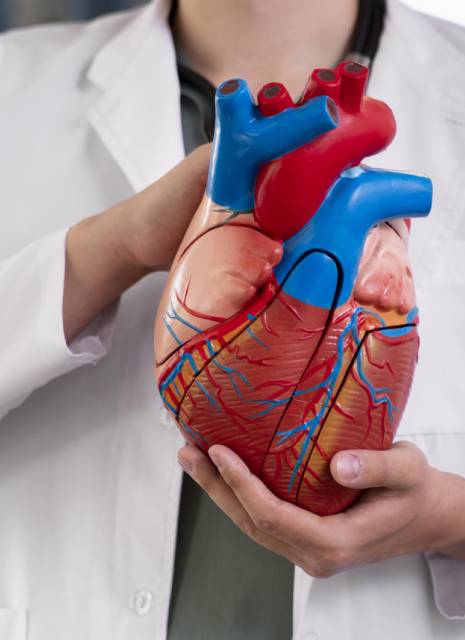 Consulta Cardiólogo check up CDMX