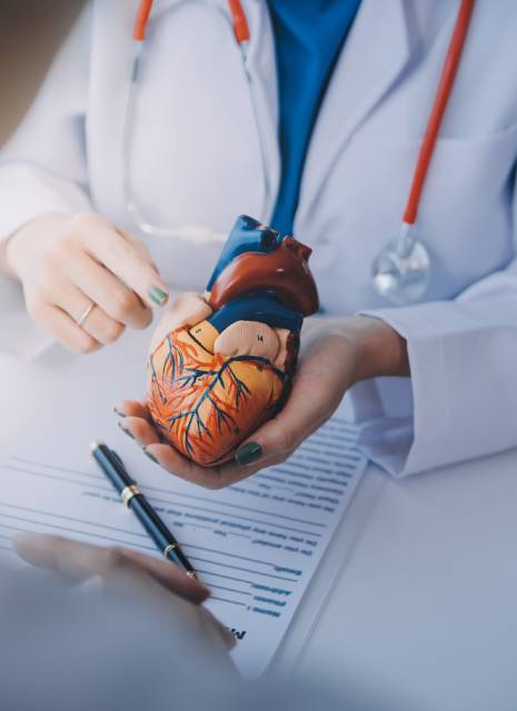 Cuanto cuesta una consulta de Cateterismo cardiaco y angioplastia en Benito Juárez CDMX