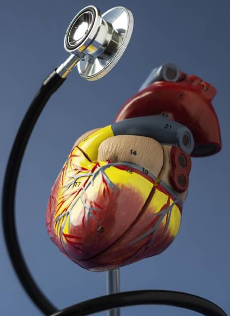 Qué trata un Cardiólogo en Iztapalapa CDMX